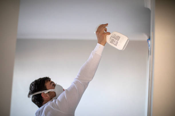 Best Home Mold Removal  in Balcones Heights, TX