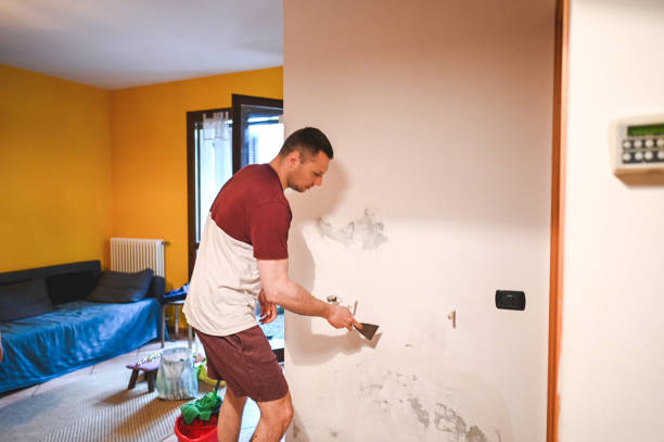 Best Black Mold Removal  in Balcones Heights, TX